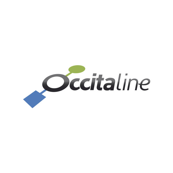 station-monitoring-ox-bigdata1k-occitaline.jpg